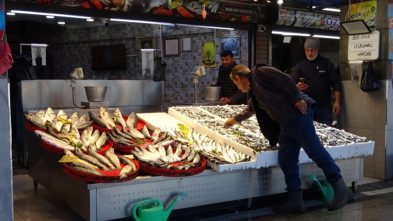 Palamut sezonu başlamadan bitti, umutlar seneye kaldı