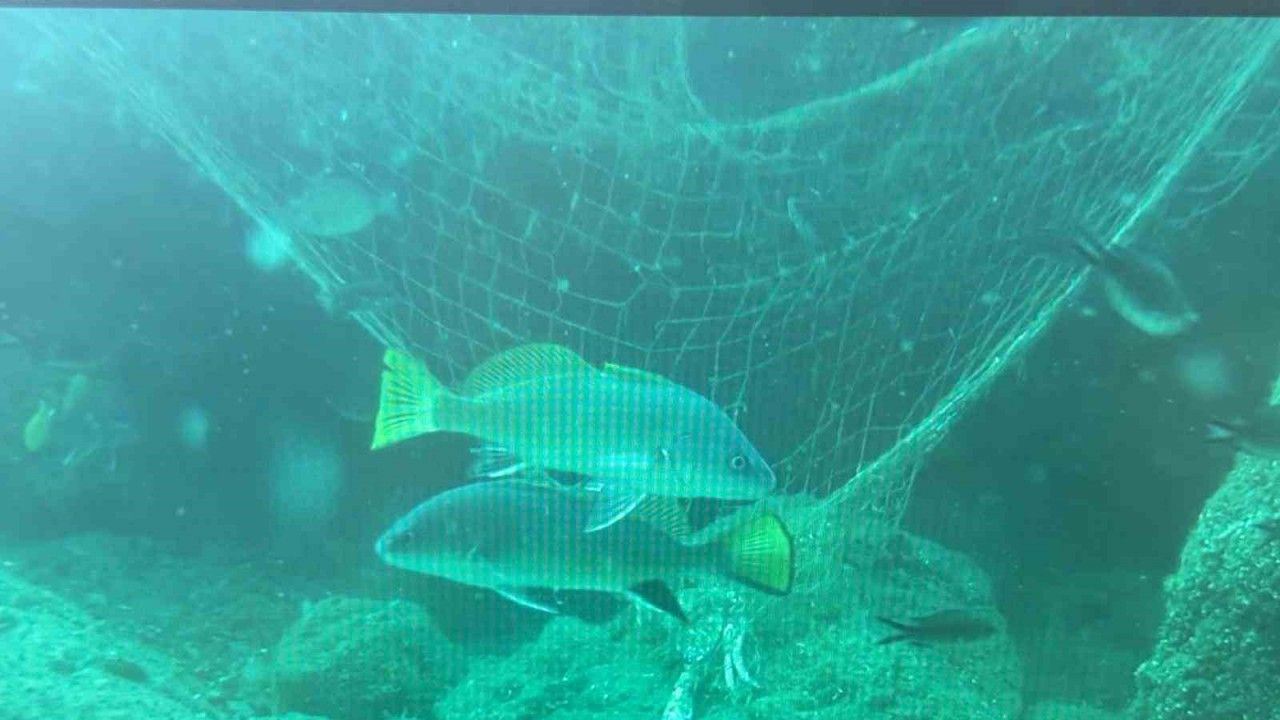 Denizlerin sessiz katili: Hayalet ağlar