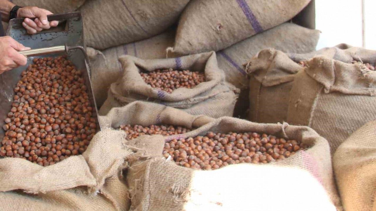 Fındıkta üreticinin 400 lira hedefi başka bahara kaldı