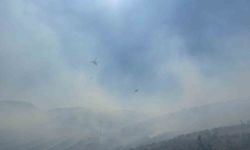 Manisa’da ormanlık alanda yangın: Havadan ve karadan müdahale başladı