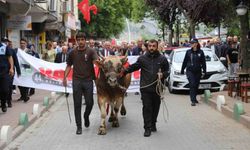 44. Kafkasör Festivali boğalı kortej yürüyüşüyle başladı