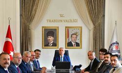 Parma Yaylası için harekete geçtiler