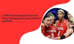 FIVB Kadınlar Dünya Voleybol Şampiyonası