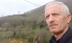 Armut ağacından düşen adam öldü