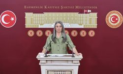 Sibel Suiçmez'den gözaltı kararına tepki