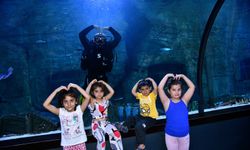 Deniz Kızı ile masallar,Trabzon Akvaryum'da canlandı