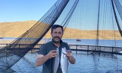 Alabalıklar Somon oldu,Arsin'e fabrikaya gönderildi