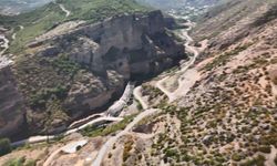 Artvin’de dron kamerasına akbaba takıldı