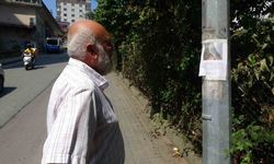 Kayıp papağanı ’Duman’ için yollara düştü