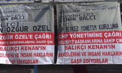 Türkiye Deniz Canlıları Müzesi Kurucusu Balcı, "Savcılarımıza, hakimlerimize imdat diyorum. Kamuyu zarara sokuyor"