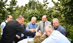 Başkan Vekili Kanca: “Fındıkta verimi artıracak projelerin destekçisiyiz”