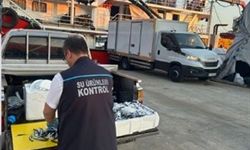 Trabzon’da usulsüz hamsi çıkışına ceza