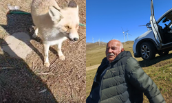 Oflu Süleyman amcanın tilki ile dostluğu