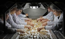 Ferrero Fındık’tan Sırbistan ve İtalya hamlesi