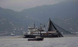 Karadeniz’de hamsi stokları alarm veriyor