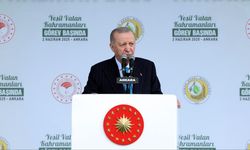 Cumhurbaşkanı Erdoğan’dan 11 Kasım Milli Ağaçlandırma Günü mesajı