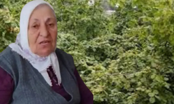 Trabzon’da kaybolan yaşlı kadın fındık bahçesinde ölü bulundu