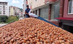 Fındık ihracatında Eylül ayında yüzde 56 düşüş