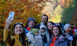 "Doğal Ağaç Müzesi" ziyaretçi akınına uğruyor