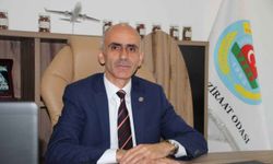 Giresun Ziraat Odası Başkanı Karan: "TMO ya fiyatlarını güncellesin ya da alımlarını sonlandırsın"