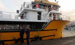 Karadeniz’den bu sezon adeta hamsi fışkırıyor