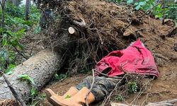 Kestiği ağacın altında kalan bir kişi hayatını kaybetti