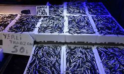 Trabzonlular hamsiye doydu