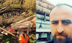 Üzerine ağaç devrilen şahıs hayatını kaybetti