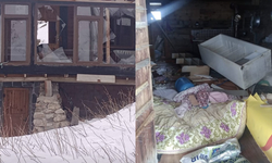 Ayılar kış uykusu nedir bilmiyor, yayla evlerine saldırıları sürüyor