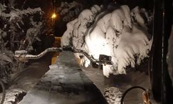 Şalpazarı ilçesinde okullar yarın tatil