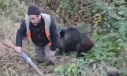 Domuzun saldırısından avcı arkadaşları kurtardı
