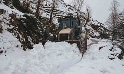 Rize'de 17 köy yolu kar nedeniyle ulaşıma kapandı