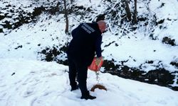 Soğuk kış günlerinde sokak hayvanları unutulmadı