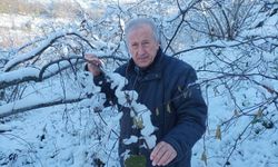 Mevsiminde yağan kar fındık üreticisini sevindirdi