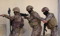 Organize suç örgütüne operasyon: 18 gözaltı