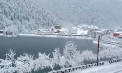 Uzungöl beyaza büründü: Kar kalınlığı 1 metreyi aştı