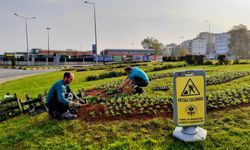 Daha yeşil Trabzon için