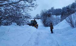 Artvin'de 80 köy yolu ulaşıma kapandı