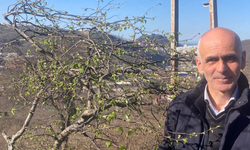 Fındık üreticilerine sigorta uyarısı