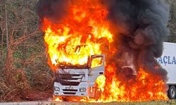 Arızalanan tır alev alev yandı