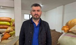 Düşmeye devam eden fındık fiyatını yeni sezon rekoltesi belirleyecek