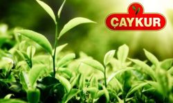 Cumhurbaşkanı Kararı Resmi Gazete’de: ÇAYKUR’a Sözleşmeli Personel Düzenlemesi