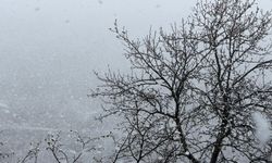 Zigana Dağı'nın yüksek kesimlerinde Nisan ayının ortasında lapa lapa kar süprizi