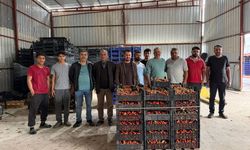 Tarla ile market rafları arasındaki farka üretici bile inanamıyor