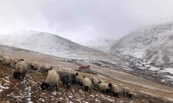 300 yıllık kullanıma müdahale tepki çekti