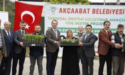 Akçaabat'ta üreticilere 25 bin sebze fidesi dağıtıldı