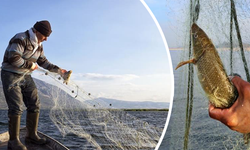 Bayburt'ta iç sularda av yasağı başladı