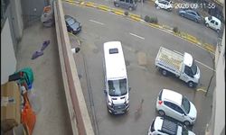 Karaca Giresun'un Görele ilçesinde şehir merkezine indi: iki araca çarptı, gözden kayboldu