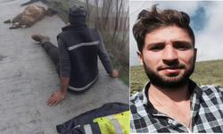 Araklı’da ihmal iddiası: Açıkta bırakılan kablo koyunları telef etti, besici akıma kapıldı