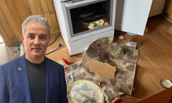 Kış uykusu bitti, ayı istilası başladı